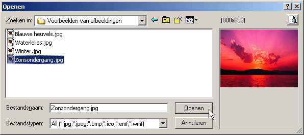 Image selection Dialog Box